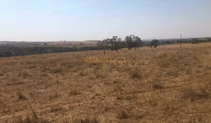 Fazenda em Araguari