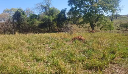 Fazenda para Venda, Araguari / MG, bairro Zona Rural, área total 16 Alqueires