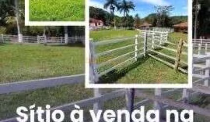 Sítio à venda no bairro Área Rural de Araguari - Araguari/MG