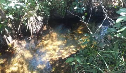 Chácara em Araguari