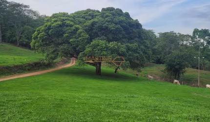 Fazenda à venda no bairro Área Rural de Araguari - Araguari/MG