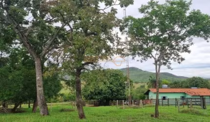 Fazenda à venda no bairro Centro - Uberlândia/MG