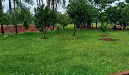 Terreno Lote - Oportunidade Imperdível no centro de Catalão - Goiás