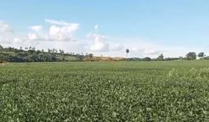Fazenda à venda no bairro Centro - Araguari/MG