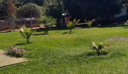Fazenda à venda no bairro Centro - Araguari/MG