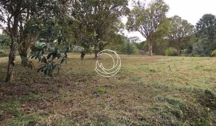 Terreno à venda no bairro Itacorubi - Florianópolis/SC