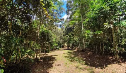 Chácara / sítio à venda na Avenquinha, Campo Alegre  por R$ 1.050.000