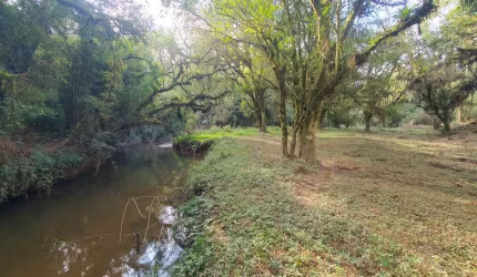 Chácara / sítio com 3 quartos à venda em São Miguel, Campo Alegre , 150 m2 por R$ 4.600.000