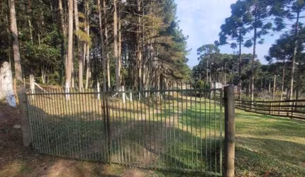 Terreno à venda no Rio Vermelho, Campo Alegre  por R$ 1.380.000