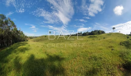 Chácara / sítio com 4 quartos à venda no Tijucume, Campo Alegre , 2000 m2 por R$ 2.500.000