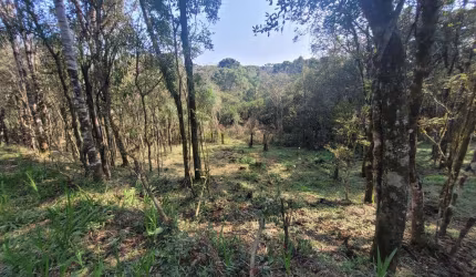 Terreno à venda na Zona Rural, Campo Alegre  por R$ 610.000