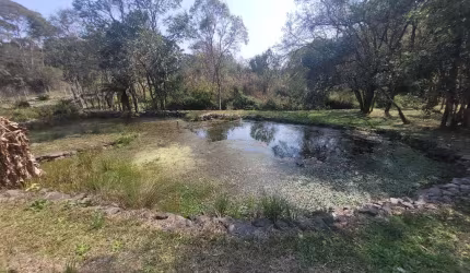 Chácara / sítio com 1 quarto à venda na Avenquinha, Campo Alegre  por R$ 590.000