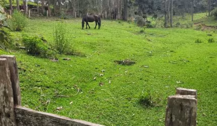 Chácara / sítio à venda em São Miguel, Campo Alegre  por R$ 2.200.000