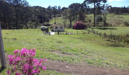Chácara / sítio com 2 quartos à venda em São Miguel, Campo Alegre , 50 m2 por R$ 420.000