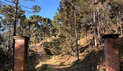 Terreno à venda em São Miguel, Campo Alegre  por R$ 700.000