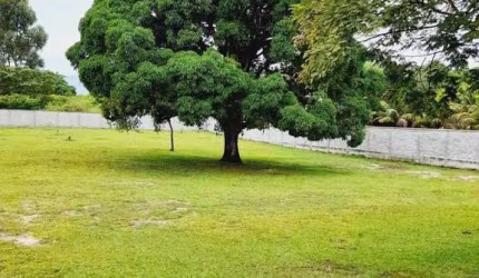 Sítio para Venda em Itaboraí, Vila Rica, 3 dormitórios, 1 suíte, 2 banheiros