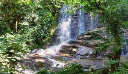 Sítio para Venda em Cachoeiras de Macacu, Japuíba
