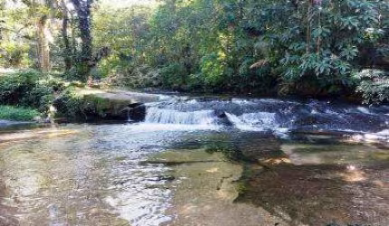 Sítio para Venda em Cachoeiras de Macacu, Anil, 3 dormitórios, 2 suítes, 2 banheiros, 2 vagas