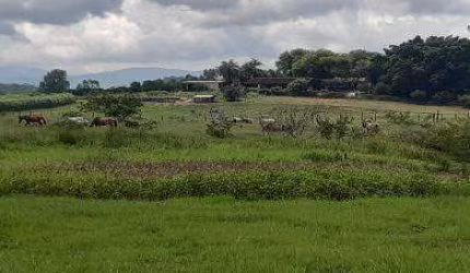 Sítio para Venda em Itaboraí, Itapacorá, 2 dormitórios, 1 banheiro, 1 vaga