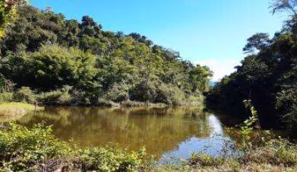 Sítio para Venda em Cachoeiras de Macacu, Guapiaçu, 2 dormitórios, 1 banheiro, 1 vaga