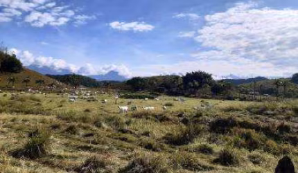 Fazenda para Venda em Cachoeiras de Macacu, Vecchi, 3 dormitórios, 2 banheiros, 1 vaga