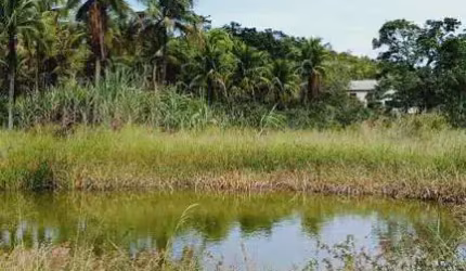 Sítio para Venda em Tanguá, Muriqui, 3 dormitórios, 1 banheiro, 1 vaga
