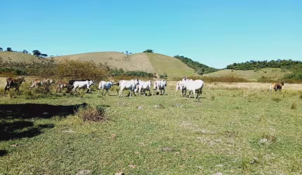 Fazenda para Venda em Silva Jardim, Imbaú, 3 dormitórios, 1 suíte, 1 banheiro, 1 vaga