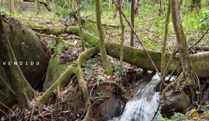 Terreno para Venda em Cachoeiras de Macacu, Guapiaçu
