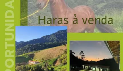 Haras para Venda em Nova Friburgo, Boa Esperança de Cima, 1 dormitório