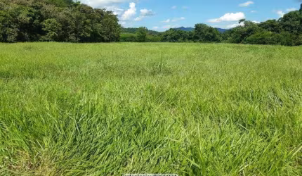 Sítio para Venda em Cachoeiras de Macacu, Papucaia, 3 dormitórios, 1 suíte, 2 banheiros, 4 vagas