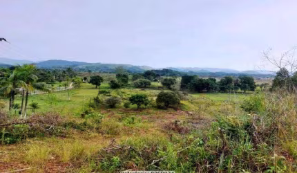 Sítio para Venda em Cachoeiras de Macacu, Papucaia, 3 dormitórios, 1 banheiro