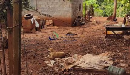 Chácara / sítio com 1 quarto à venda na Zona Rural, Assaí , 20 m2 por R$ 350.000