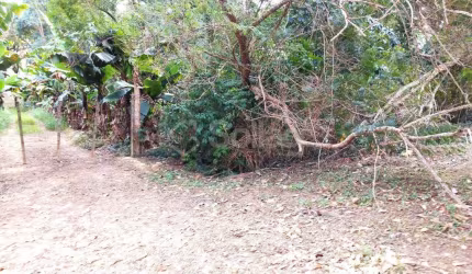 terreno à venda, Vista Alegre - Vinhedo/SP