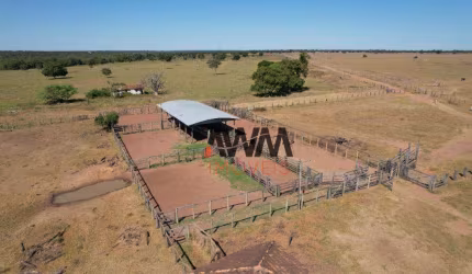 Fazenda à venda, 12196800 m² por R$ 45.000.000,00 - Zona Rural - Jussara/GO