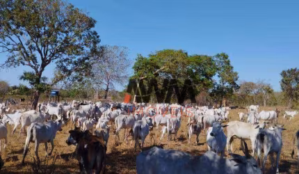 Fazenda à venda, 11567600 m² por R$ 20.315.000,00 - Zona Rural - Lagoa do Tocantins/TO