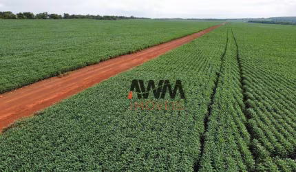 Fazenda à venda, 7066400 m² por R$ 24.000.000,00 - Centro - Paraíso do Tocantins/TO