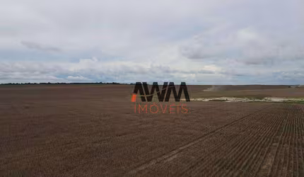 Fazenda à venda, 19989200 m² por R$ 35.000.000,00 - Zona Rural - Brejinho de Nazaré/TO
