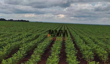 Fazenda à venda, 24829200 m² por R$ 61.560.000,00 - Zona Rural - Pedro Afonso/TO
