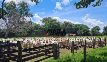 Fazenda à venda, 5234944 m² por R$ 8.652.800,00 - Zona Rural - Cocalinho/MT
