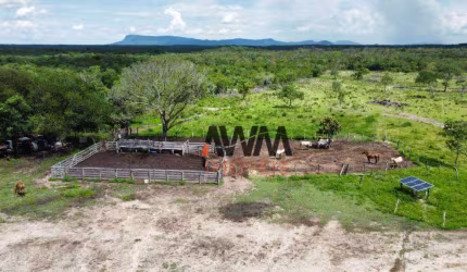 Fazenda à venda, 41220000 m² por R$ 28.000.000,00 - Zona Rural - Conceição do Tocantins/TO