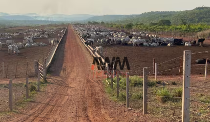 Fazenda à venda, 30000000 m² por R$ 71.300.000,00 - Zona Rural - Pindorama do Tocantins/TO