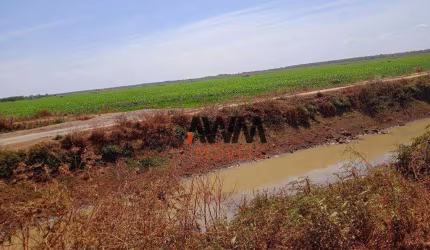 Fazenda à venda, 7260 ha por R$ 225.000.000 - Javaés - Lagoa da  Confusão/TO