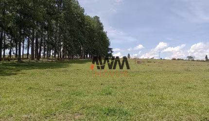 Fazenda 82 ha entre Taguatinga e Brazlândia à venda, por R$ 16.000.000 - Brazlândia/DF