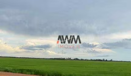 Fazenda à venda, 72600000 m² por R$ 225.000.000,00 - Zona Rural - Duerê/TO
