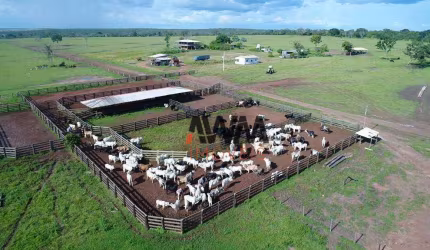 Fazenda à venda, 62800000 m² por R$ 130.000.000,00 - Zona Rural - Paranatinga/MT