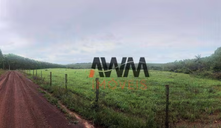Fazenda à venda, 871200 Ha  por R$ 170.000.000 - Setor Central - Araguaína/TO