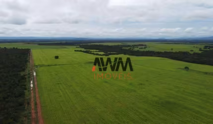 Fazenda à venda, 48400 Hectares por R$ 120.000.000 - Centro - Formosa/GO