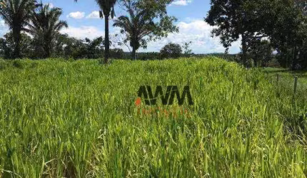 Chácara à venda, 12100 Ha por R$ 580.000 - Chácara Na Zona Rural - Itapirapuã/GO