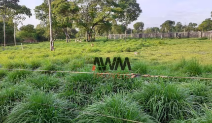 Fazenda à venda, 3.484.80 Hectares  por R$ 28.800.000 - Zona Rural - Cocalinho/MT