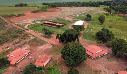Fazenda à venda, 1.519.76 Hectares  por R$ 50.240.000 - Zona Rural - Brejinho de Nazaré/TO